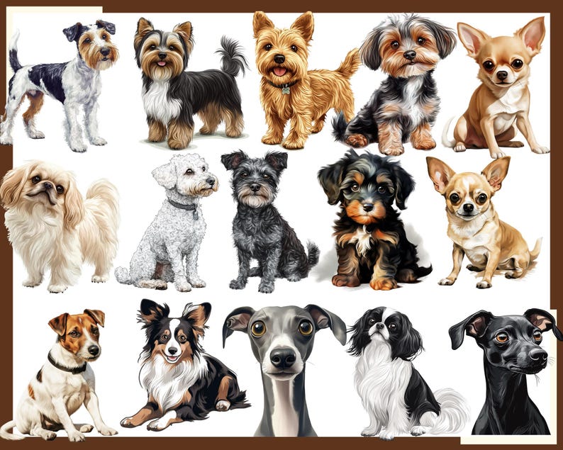 Small Dog Breeds Clipart: 100 PNG Graphics (digital Download) - Etsy