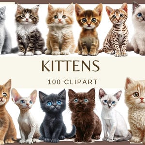 CHATONS - 100 cliparts aquarelle (300 dpi Bengale balinais Bombay British Shorthair birman Chausie exotique La Havane brun chat himalayen)
