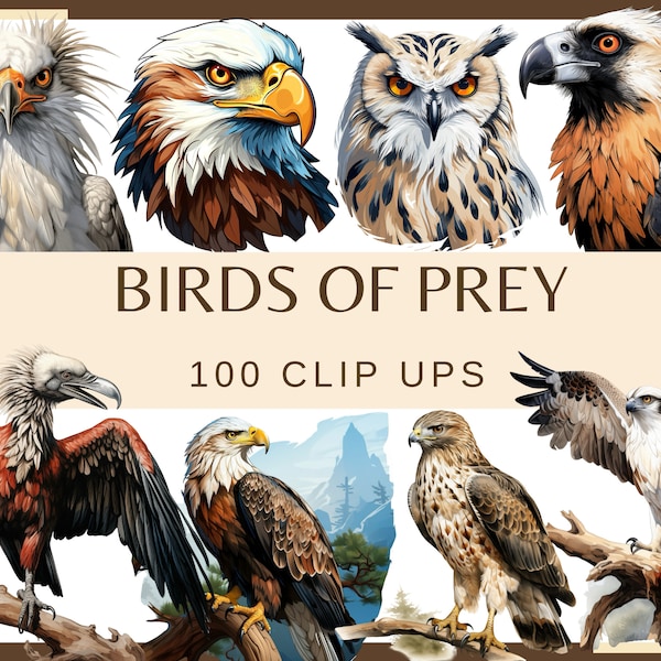 BIRDS OF PREY - 100 clip arts (300 dpi, Eagle, Falcon, Owl, Condor, Hawk, Buzzard, Osprey, Vulture, Png, Fauna, Bird)