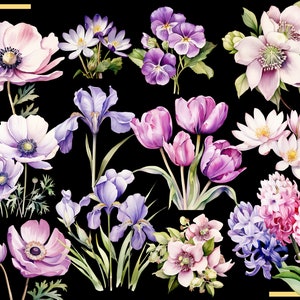 SPRING FLOWERS 100 clip arts 300 dpi, floral, nature, garden, pussy willow flower, crocus, tulip, daffodil, hyacinth magnolia bundle png image 3