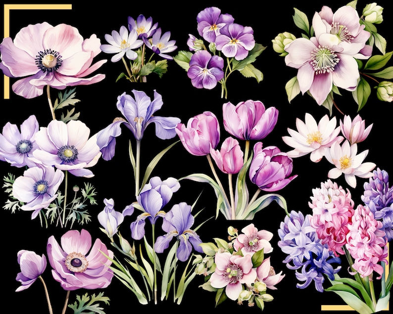 SPRING FLOWERS 100 clip arts 300 dpi, floral, nature, garden, pussy willow flower, crocus, tulip, daffodil, hyacinth magnolia bundle png image 3