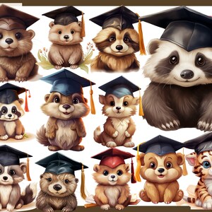 May include: A collection of cartoon animals, including raccoons, bears, and a cat, all wearing graduation caps. The illustrations feature a variety of colors, with each animal having a unique expression. The caps have tassels in various colors.