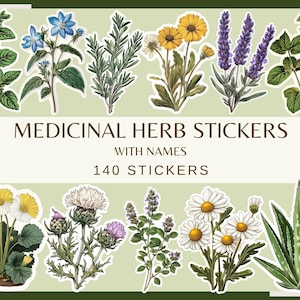 HEILKRÄUTER STICKER mit Namen - 140 Clip-Arts (300 dpi, Aquarell Heilpflanzen Farne Sublimationspflanzen Grafik Kräuterpflanze)