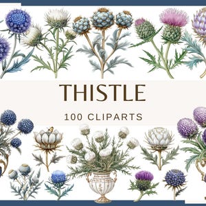 FLEUR DE CHARDON - 100 images clipart (300 dpi, usage commercial, lot, numérique, fleurs de fées fantastiques, floral, éléments de mariage, journal indésirable)