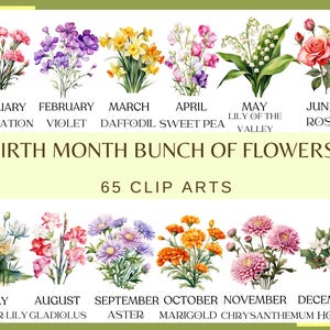 Birth Month Bunch of Flowers - 65 clip arts (300 dpi, commercial use, bundle, digital, transparent background, floral, watercolor, png)