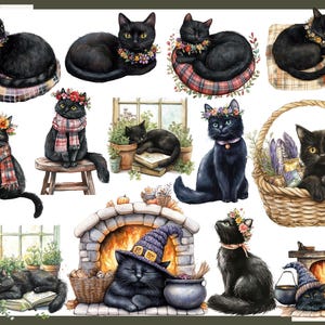 May include: Watercolor illustrations of black cats adorned with floral wreaths, scarves, and witch hats. Some cats are seated on cushions, near fireplaces, or in a basket. The artwork has a whimsical, autumnal theme.