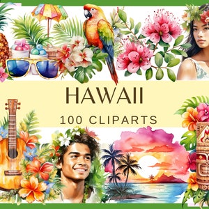 HAWAII - 100 clip arts (300 dpi, surf, commercial use, bundle, digital, sea life, png, vacation, holiday, totem, torch, canoe, cocktail)
