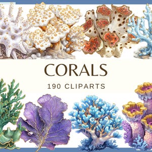 CORALES - 190 imágenes prediseñadas (300 dpi, coral de fantasía marina, paquete, digital, vida marina, png, verano, estrella de mar, vacaciones, coral perla, coral dorado)