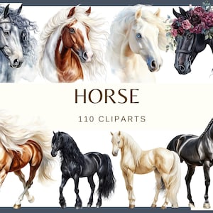 May include: A digital art print featuring eight watercolor horse illustrations in various colors, including gray, brown, white, and black. The word "HORSE" is displayed above the text "110 CLIPARTS".