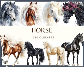 Pferd: 110 PNG, 300 DPI Clipart, Clipart, Tier, Pferdesport, Pony und Hengst (Kommerzielle Nutzung, digitaler Download)