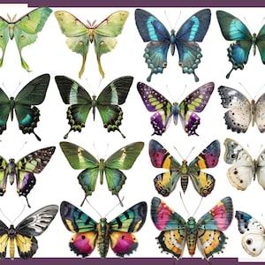 Butterfly Clip Art: Watercolor Butterfly Illustrations, Floral PNG Bundle (130 files) image 3
