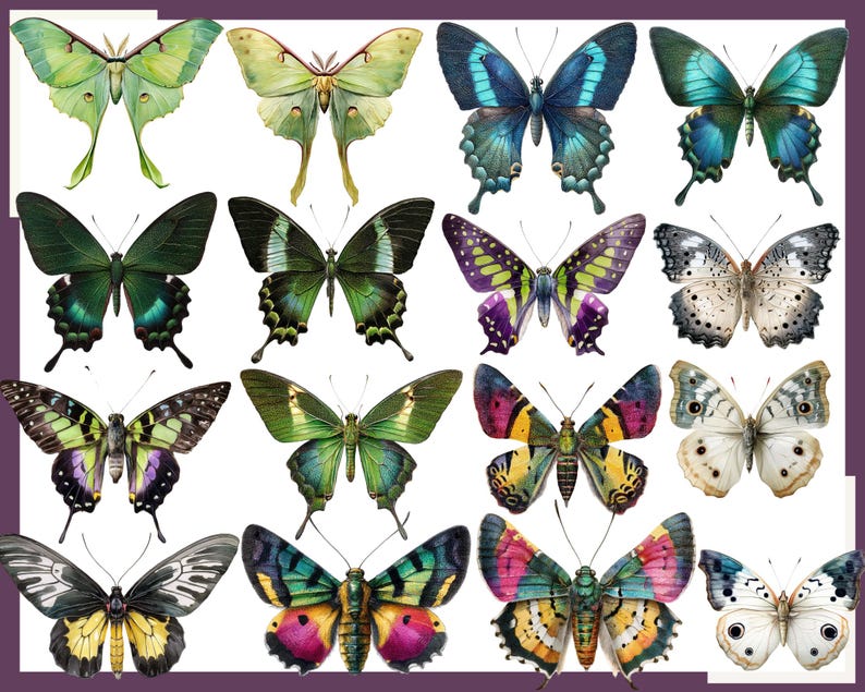 Butterfly Clip Art: Watercolor Butterfly Illustrations, Floral PNG Bundle (130 files) image 3