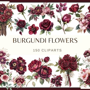 May include: A selection of burgundy floral clip art images. The image showcases diverse arrangements of burgundy flowers, including roses and other blooms, with green foliage. The text "BURGUNDI FLOWERS" and "150 CLIPARTS" is displayed.