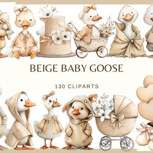 Puede incluir: Ilustraciones en acuarela de bebés gansos beige en varias poses y atuendos. La imagen incluye gansos con juguetes, gorros y un cochecito. El texto dice "BEIGE BABY GOOSE" y "130 CLIPARTS". El tema general es baby shower o guardería.
