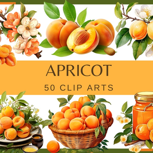 APRICOT COLLECTION - 50 clip arts and 5 patterns (300 dpi, fruit, Transparent background, commercial use, bundle, digital, png, apricot jam)