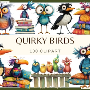 OISEAUX INSCRITS - 100 images clipart (300 dpi, oiseau rigolote et fatigué, vautour, corbeau, perroquet, hibou, png, faune, oiseau, oiseaux lunatiques)