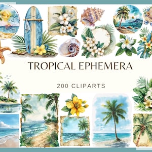 Könnte beinhalten: Aquarellillustrationen tropischer Elemente, darunter ein Surfbrett, Seesterne, Muscheln und Palmen. Der Text "TROPICAL EPHEMERA" und "200 CLIPARTS" sind zu sehen. Das Kunstwerk zeigt ein Strandthema mit leuchtenden Farben.