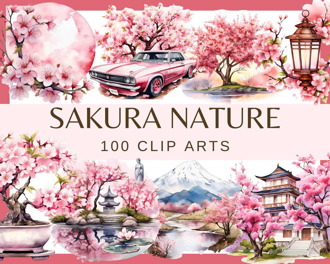 Sakura Cherry Blossom Clip Art: Japanese Spring Flowers (100 PNG ...