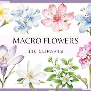 マクロ フラワー - 110 個のクリップ アート (300 dpi、商用利用、バンドル、デジタル、優しいパステル調の花、花柄、結婚式の要素、ジャンク ジャーナル)