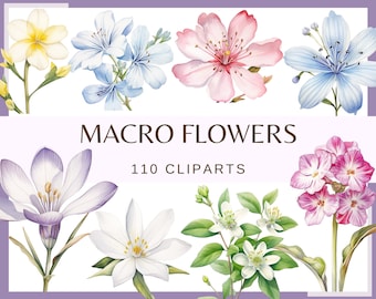 May include: A collection of 110 watercolor illustrations of various flowers, including a white flower with a yellow center, a light blue flower with a white center, a pink flower with a yellow center, a purple flower with a yellow center, a white flower with a green center, and a pink flower with a white center. The text "MACRO FLOWERS 110 CLIPARTS" is displayed in the center of the image.
