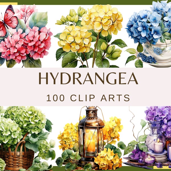 HYDRANGEA FLOWERS - 100 clip arts (300 dpi, commercial use, bundle, digital, transparent background, floral, png, hydrangea in vase)