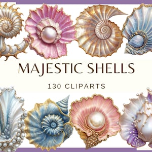 MAJESTIC SHELLS - 130 clip arts (300 dpi, zee fantasie zwarte schelp, bundel, digitaal, zeeleven, png, zomer, schelp, vakantie, parelschelp)
