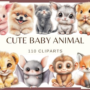 SÖTA DJURUNGAR - 110 clipart-bilder (300 dpi, kattunge valp, tvättbjörn, igelkott, ekorre, elefant, apa, zebra, bunt, digitalt, png, djungel)