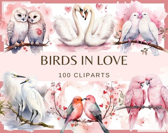 May include: Watercolor illustrations of various birds in love, including owls, swans, doves, egrets, and parrots. The illustrations are set against a pink watercolor background with hearts and flowers. The text "BIRDS IN LOVE 100 CLIPARTS" is displayed at the center of the image.