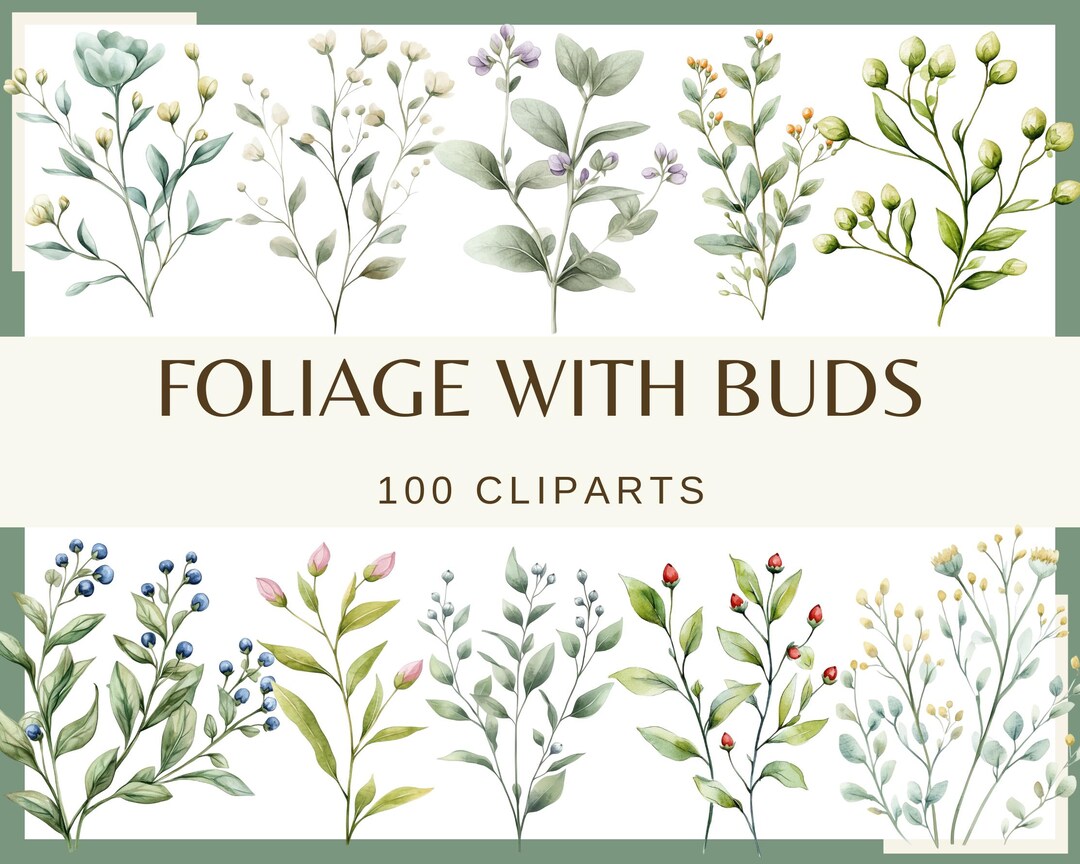Watercolor Foliage Clipart: 100 Greenery Eucalyptus PNG Bundle (digital ...