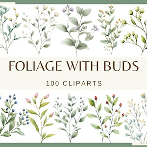 FOLIAGE WITH BUDS - 100 clip arts (300 dpi, png bundle, digital, nature, eucalyptus, tree leaves, Greenery Watercolor fern)