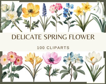 May include: A collection of 100 delicate spring flower clipart images. The images feature a variety of flowers in shades of pink, yellow, blue, and white. The flowers are arranged in a row across the top of the image, with the text "DELICATE SPRING FLOWER 100 CLIPARTS" below.