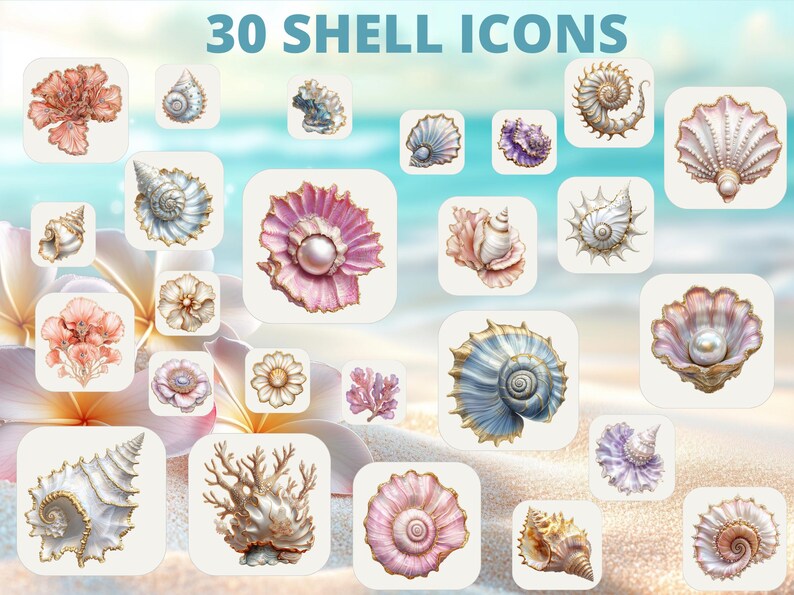 Sea Shell Widget SHELL APP ICONS - 200 Files (iphone Icons, App Covers, Highlight Icons ...