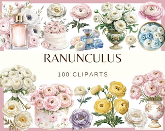 May include: A collection of 100 watercolor clipart images featuring delicate ranunculus flowers in various colors and arrangements. The images include bouquets, single flowers, and floral arrangements in vases and boxes. The text "RANUNCULUS 100 CLIPARTS" is displayed at the bottom of the image.