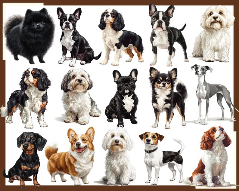 Small Dog Breeds Clipart: 100 PNG Graphics (digital Download) - Etsy