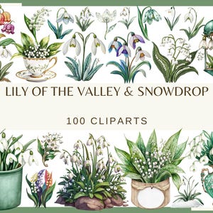 LILY Of The VALLEY & SNOWDROP - 100 clip arts (300 dpi, commercial use, digital, png, floral, watercolor, flower bed, flower in pot vase)