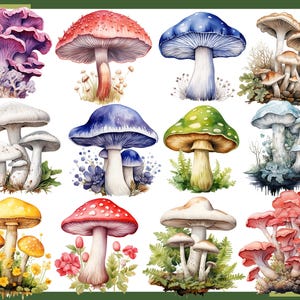 Może przedstawiać: Zbi&oacute;r akwarelowych ilustracji r&oacute;żnych grzyb&oacute;w. Grzyby są przedstawione w r&oacute;żnych kolorach, kształtach i rozmiarach, niekt&oacute;re z nich mają skomplikowane detale. Ilustracje są umieszczone na białym tle.