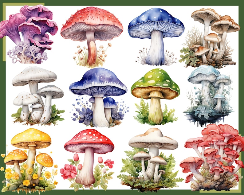 Może przedstawiać: Zbi&oacute;r akwarelowych ilustracji r&oacute;żnych grzyb&oacute;w. Grzyby są przedstawione w r&oacute;żnych kolorach, kształtach i rozmiarach, niekt&oacute;re z nich mają skomplikowane detale. Ilustracje są umieszczone na białym tle.