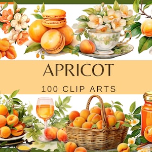 ABRIKOZENCOLLECTIE - 100 clip arts en 5 patronen (300 dpi, fruit transparante achtergrond, commercieel gebruik, bundel, digitaal, png, abrikozenjam)