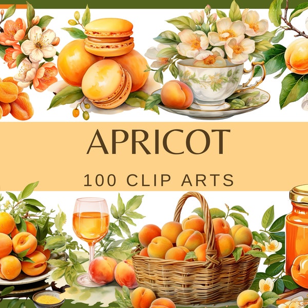 APRICOT COLLECTION - 100 clip arts and 5 patterns (300 dpi, fruit Transparent background, commercial use, bundle, digital, png, apricot jam)