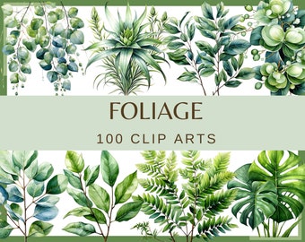 FOLLAJE - 100 imágenes prediseñadas (300 ppp, fondo transparente, png, paquete, digital, naturaleza, hoja de monstera, hojas de árbol, acuarela verde)