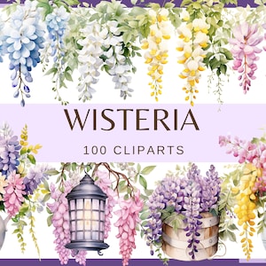 WISTERIA FLOWERS - 100 clip arts (300 dpi, witte blauweregen, kabouter, lantaarn, bloemen in vaas, dame, bloemen, bruiloftselementen, junkjournal)