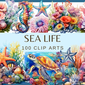 SEA LIFE - 100 clip arts (300 dpi, png, commercial use, bundle, digital, sea life, octopus, sea horse, turtle, sea anemone, jelly fish)