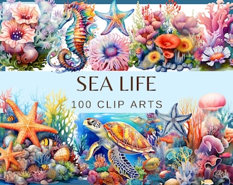 SEA LIFE - 100 images clipart (300 dpi, png, usage commercial, lot, numérique, sea life, poulpe, hippocampe, tortue, anémone de mer, méduse)