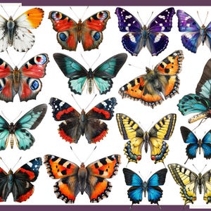 May include: A collection of 15 colorful butterfly illustrations with various wing patterns and colors, including blue, purple, red, orange, yellow, green, and black.