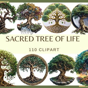 ARBRE DE VIE SACRÉ - 110 images clipart (300 dpi, usage commercial, numérique, arbre ésotérique, arbre magique, arbre de fille, arbre fantastique)