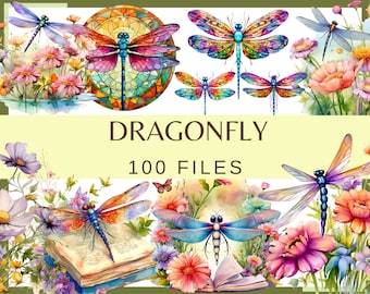 DRAGONFLY - 100 clip art (300 dpi, uso commerciale, vetro colorato libellula, acquerello, libro dei fiori, pacchetto, floreale, insetto, png)