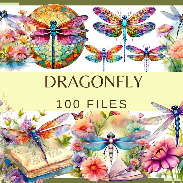 DRAGONFLY - 100 clip art (300 dpi, uso commerciale, vetro colorato libellula, acquerello, libro dei fiori, pacchetto, floreale, insetto, png)