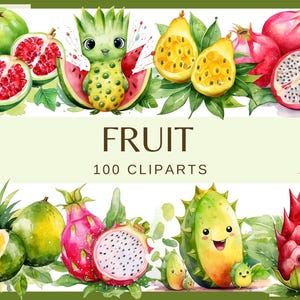 FRUIT - 100 clip arts (300 dpi, fruit, Transparent background, bundle, digital, png, avocado, dragon fruit, carambola fruit)