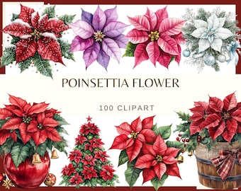 Poinsettia Flowers: 100 PNG, 300 DPI Clipart Holiday Floral, Winter Botanical Journal Elements, Festive Scrapbook(Commercial Use, Digital)