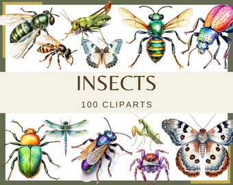 INSECTS - 100 clip arts (300 dpi, Praying Mantis, Grasshopper, Beetle, Moth, Butterfly, Watercolor, Dragonfly, Fly, Spider, insect, png)